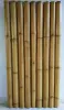 Artikelbild 2 des Artikels “Bambus-Element Modell Surabaya, starr, gelb-braun (Apus). Durchmesser 6-9cm 90 x 180 cm Höhe. “